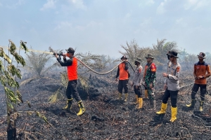 Polda Jambi Pastikan Penanganan Karhutla Sungai Gelam Maksimal
