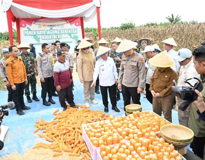 Polda Jambi Panen Raya Jagung